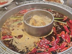 -杨肥肠火锅大排档(火车站花园店)
