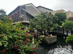 -猪肉婆私房菜(容桂总店)