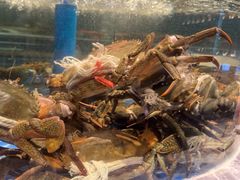 -海立阁海鲜江浙菜(漕河泾印象城店)