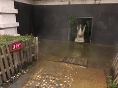 -张家港金凤凰度假村温泉