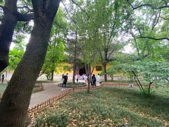 -西园戒幢律寺