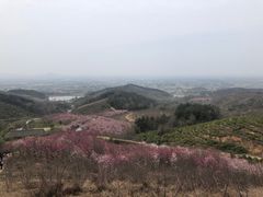 -冶父山国家森林公园