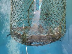 -SHRIMP CLUB万东餐饮钓虾·清吧