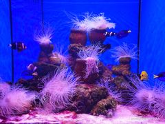 -多彩贵州城极地海洋世界