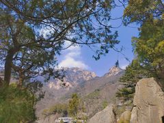 -泰山风景名胜区