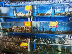 -蚝专家(北滘店)