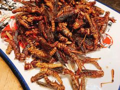 -粗粮人家·东北菜(洋桥店)