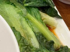 -金鼎轩(方庄天坛店)