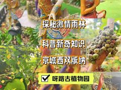 -呀路古热带植物园