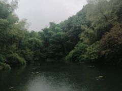 -天目湖山水园