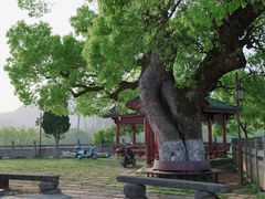 -东梓关景区村庄