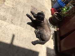 iphone_upload_pic-南丫岛