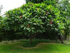 -广州七星岗古海岸遗址科学公园