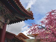 -珠海圆明新园