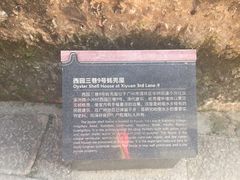 -小洲村