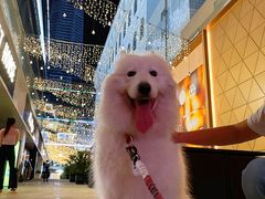 -HALO广场(梨园路店)