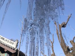 -西安关中民俗艺术博物院