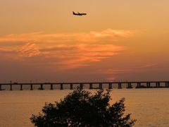 -宝安西湾红树林湿地公园