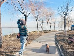 -天津东丽湖风景区