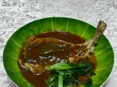 红烧河豚鱼-新光酒家·河豚·海鲜·蟹料理(浦东店)