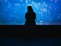 -左海海底世界