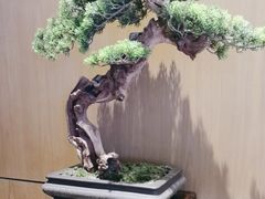 -福厨餐厅(水悦城店)