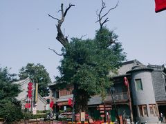 -老槐树煎包