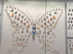 -四川大学博物馆