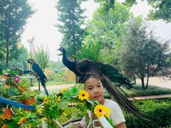 -辛玛王国游乐园