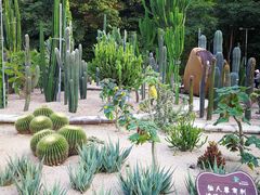 -深圳仙湖植物园