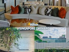 -新加坡乌节希尔顿酒店 (SG Clean)