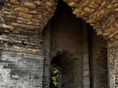 -上海佘山国家森林公园天马山园