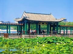 -莲花池公园