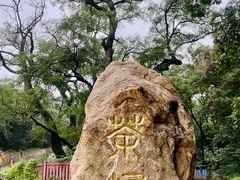 -北京西山国家森林公园