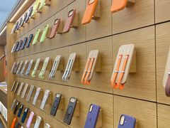 -Apple 零售店(Canton Road)