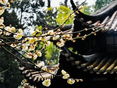 -杭州黄龙洞