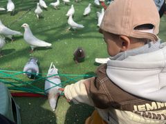 -长白岛森林公园