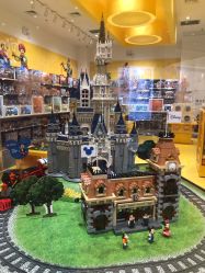 -乐高授权专卖店(华采天地店)