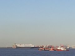 -上海滨江森林公园