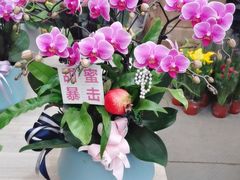 -南京市江宁方山