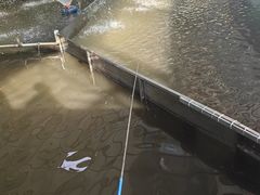 -粮心小农·大头虾亲子生态园(长发店)