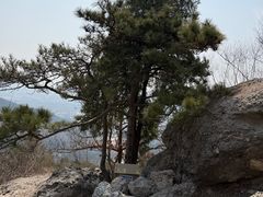 -北京十三陵国家森林公园蟒山景区