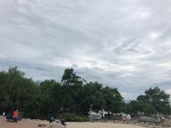 -宝安西湾红树林湿地公园