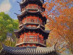 -上海佘山国家森林公园西佘山园