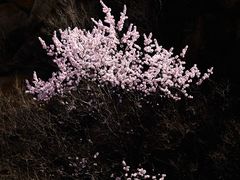 -北京凤凰岭