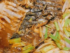 -鱼酷活鱼烤鱼(南京水游城店)