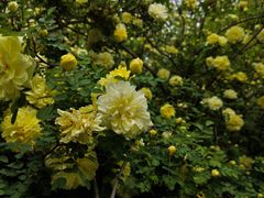 -长春公园(普阳街道)