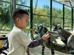 -水上乐园·欢乐世界