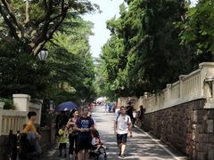 -青岛海滨风景区
