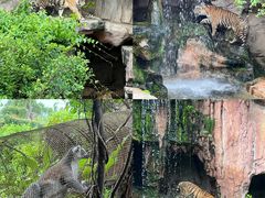 -长鹿旅游休博园